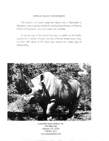 Black-Rhino-2